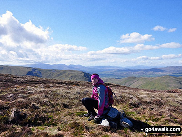 Walk gw167 Waun-oer, Cribin Fawr and Maesglase from Bryn Coedwig, Aberllefenni - On the summit of Maesglase