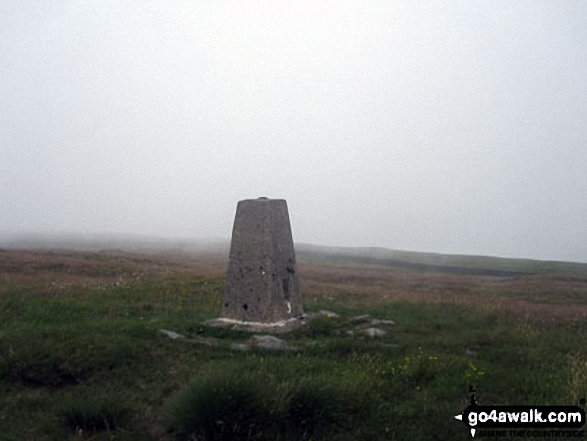 Park Fell (Ribblehead) Photo by Christine Shepherd