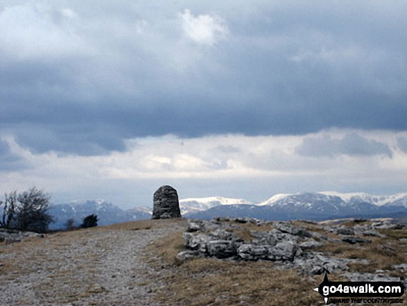 Walk c444 Lord's Seat (Whitbarrow Scar) from Mill Side - Lord's Seat (Whitbarrow Scar) summit