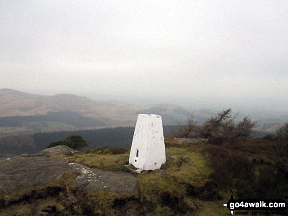 Walk ny124 Rylstone Fell, Cracoe Fell, Thorpe Fell Top and Embsay Moor from Embsay - Crookrise Crag Top summit trig point