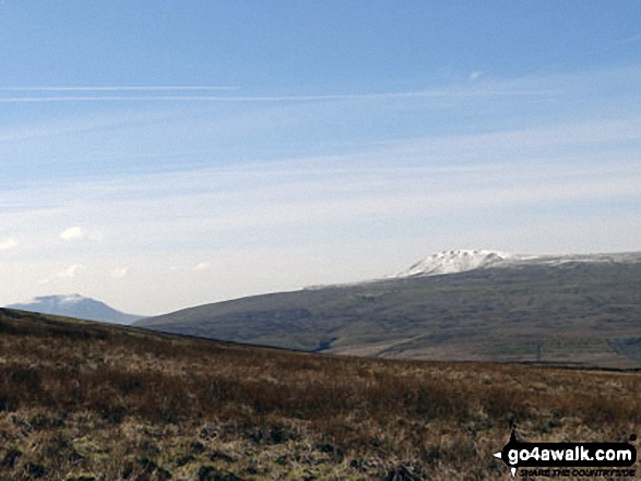 Walk c261 Great Knoutberry Hill (Widdale Fell) from Dent Station - Snow on Whernside (left) and Pen-y-ghent from the path up Great Knoutberry Hill (Widdale Fell)