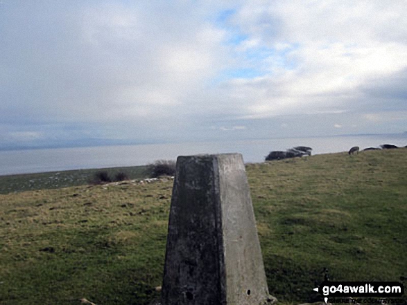 Walk c436 Hampsfell and Humphrey Head from Grange-over-Sands - Humphrey Head summit trig point