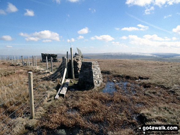 Walk c157 Great Knoutberry Hill (Widdale Fell) from Crosshills Wold - Great Knoutberry Hill (Widdale Fell) summit trig point