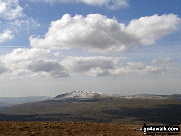 A snow capped Pen-y-ghent from Great Knoutberry Hill (Widdale Fell)