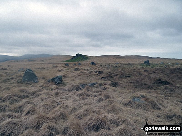 Walk c440 Whin Rigg, Illgill Head and Boat How from Miterdale Bridge - A stone circle near Boat How