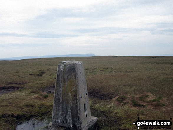 Walk ny108 Dodd Fell Hill and Drumaldrace (Wether Fell) from Hawes - Dodd Fell Hill summit trig point