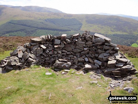 Walk c183 Lord's Seat and Graystones from Whinlatter Forest Park - Whinlatter (Brown How) summit