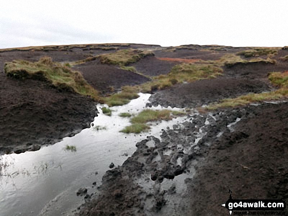 Walk d172 Bleaklow Head (Bleaklow Hill) and Higher Shelf Stones from Old Glossop - Bleaklow Bog!