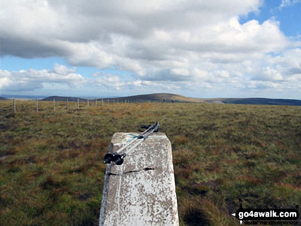 Walk n140 Cushat Law and Bloodybush Edge from Alwinton - Bloodybush Edge summit trig point