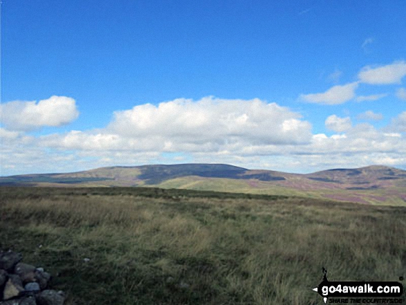 Looking north to The Cheviot (left) and Hedgehope Hill from the summit of Cushat Law