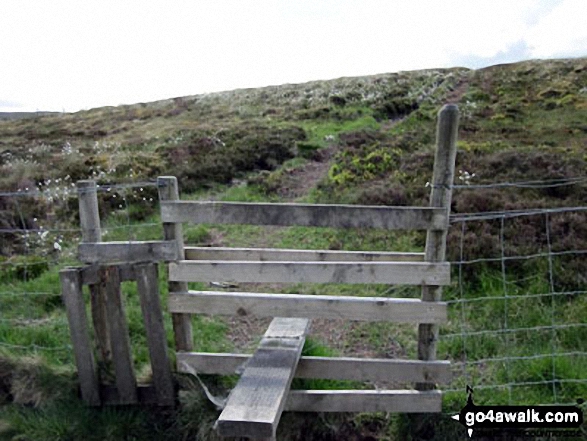 Walk c212 Burnbank Fell, Gavel Fell, Hen Comb and Mellbreak from Loweswater - Stile and cotton grass on the way from Burnbank Fell to Blake.