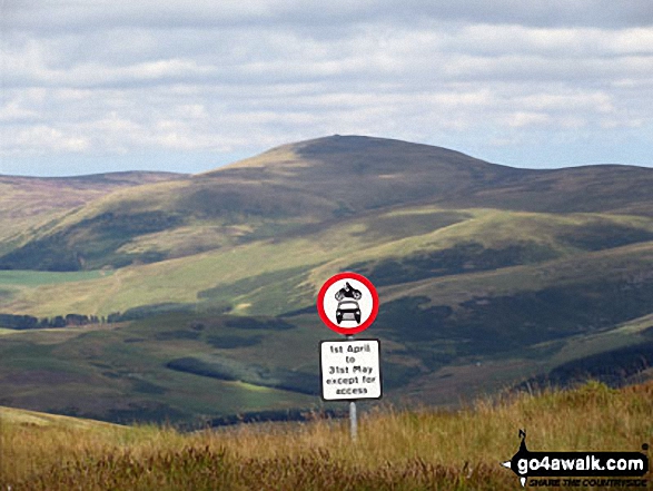 Walk n109 Windy Gyle from Rowhope Bridge - A great sign on Windy Gyle