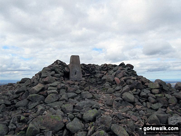 Walk n132 The Cheviot, Comb Fell and Hedgehope Hill from Harthope Burn Valley - Hedgehope Hill summit cairn and trig point