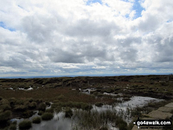 Walk n119 The Cheviot and Cairn Hill from Harthope Burn Velley - Bog on The Cheviot