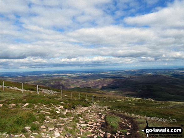 View from the path near the summit of The Cheviot