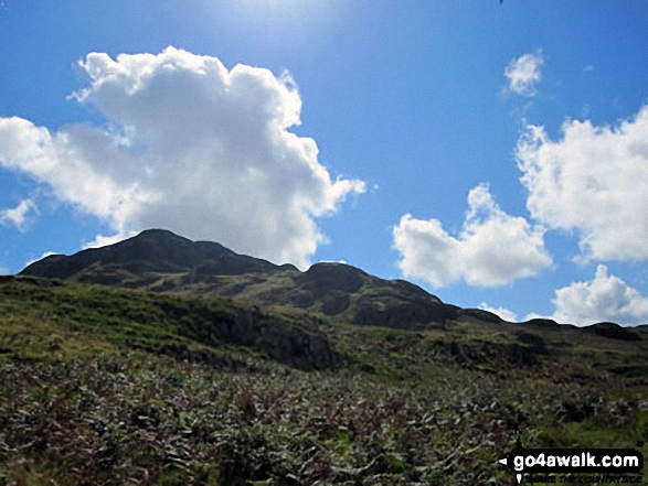 Walk c402 Harter Fell and Hard Knott from The Woolpack Inn, Eskdale - Looking up to Green Crag (Ulpha Fell) from near the top of Birker Force, Eskdale