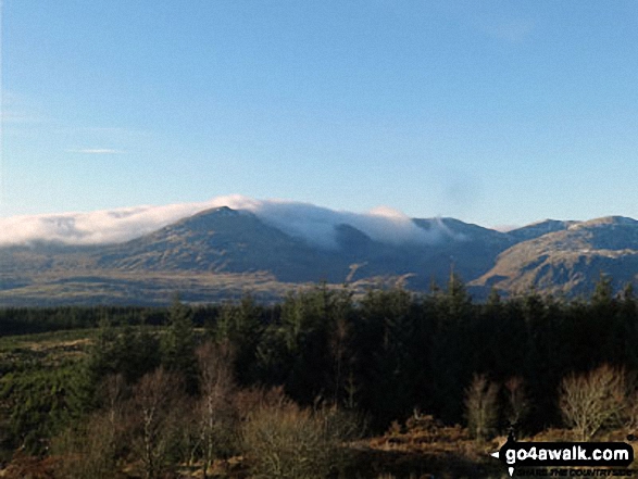 Walk c148 The Silurian Way in the Grizedale Forest - Cloud over Top o' Selside from Carron Crag