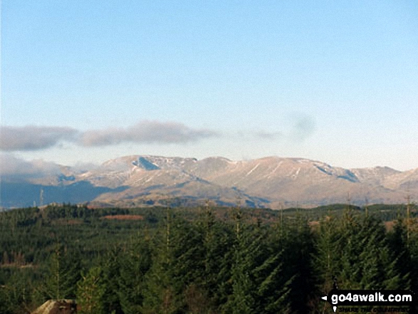 Walk c148 The Silurian Way in the Grizedale Forest - The Howgill Fells from Carron Crag