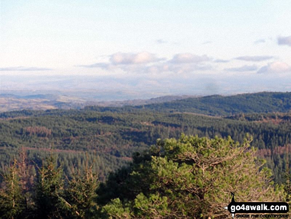 Walk c148 The Silurian Way in the Grizedale Forest - View over Grizdale Forest from Carron Crag