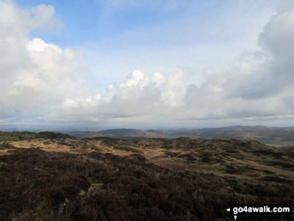 The path through the heather on Top o' Selside 