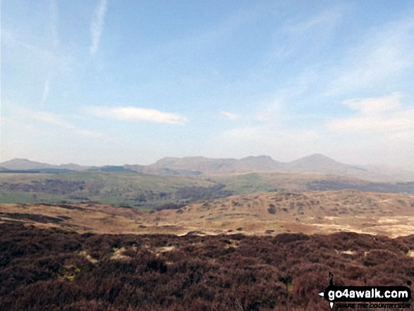 Walk c400 Beacon (Blawith Fells) and Yew Bank from Brown Howe - The Coniston Fells from Yew Bank (Blawith Fells)