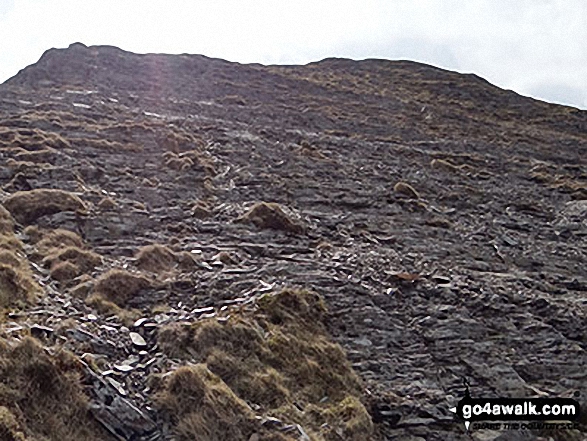 Walk c366 Grasmoor and Whiteless Pike from Lanthwaite Green - The steep descent from Hopegill Head to Ladyside Pike