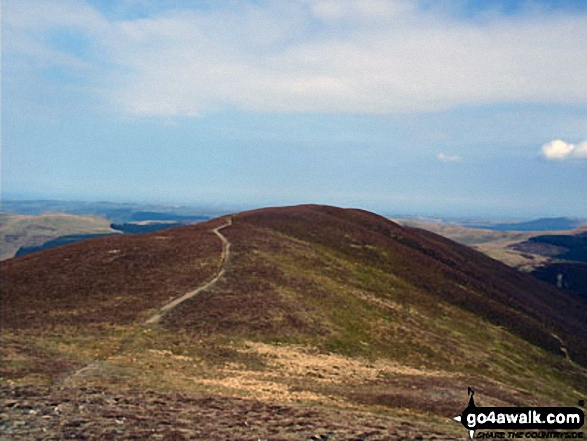 Walk c169 Grisedale Pike and Hopegill Head from Whinlatter Forest - Hobcarton End from Grisedale Pike