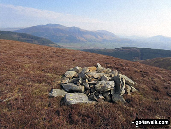 Walk c169 Grisedale Pike and Hopegill Head from Whinlatter Forest - Hobcarton End summit cairn