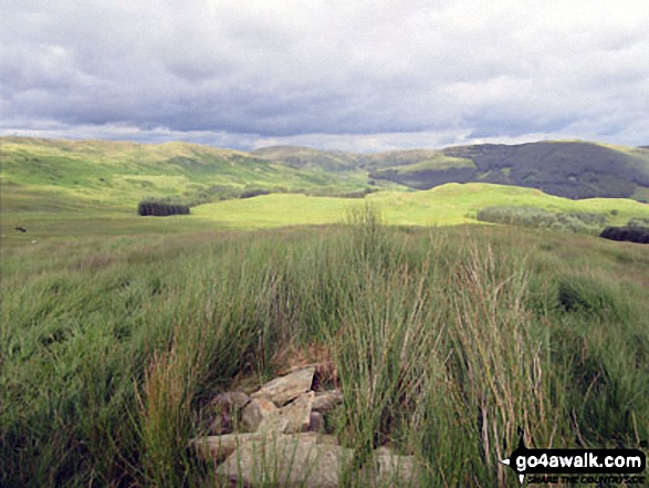 View from Lamb Pasture