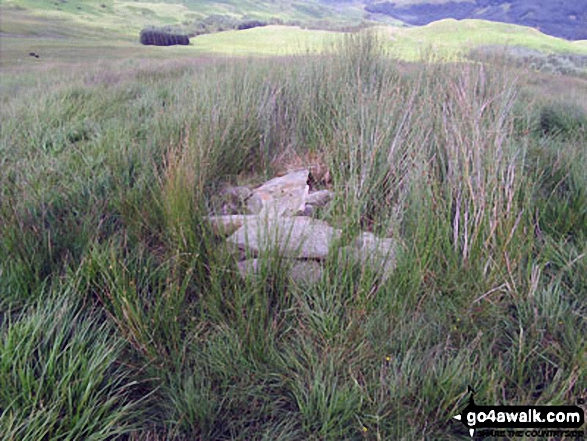 Lamb Pasture summit cairn