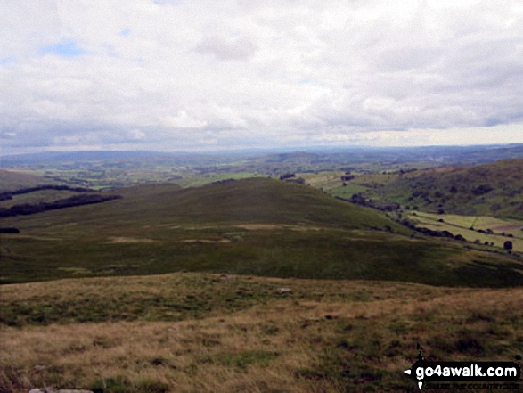 Lamb Pasture from The Forest (Bannisdale) 