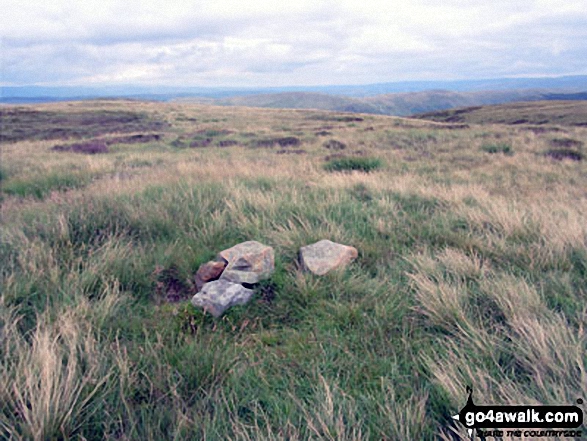 The Forest (Bannisdale) summit cairn