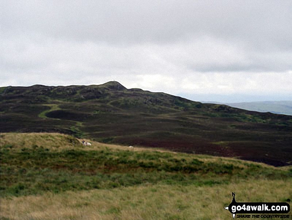 Looking back to Whiteside Pike from Todd Fell 