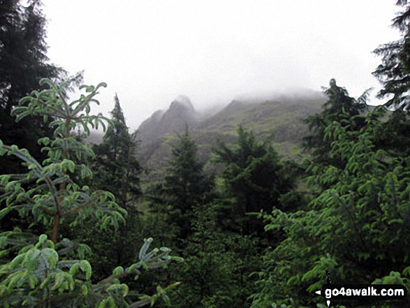 Walk c324 Starling Dodd and Great Borne from Buttermere - Misty conditions in Ennerdale