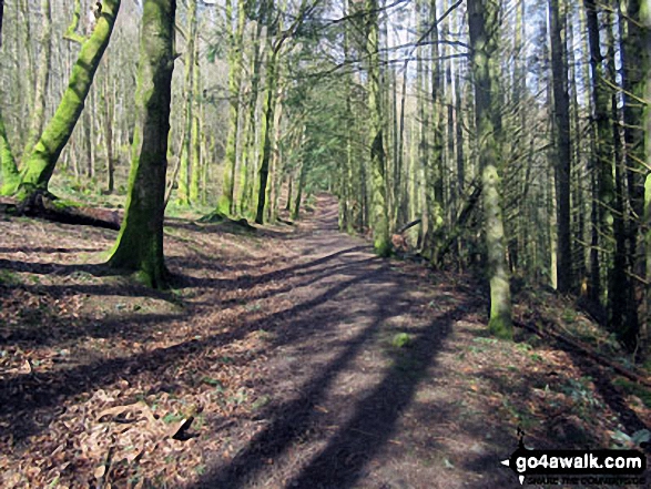 The path up Dunmallet from Pooley Bridge 