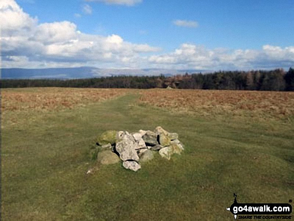 Walk Heughscar Hill walking UK Mountains in The Far Eastern Marches The Lake District National Park Cumbria, England