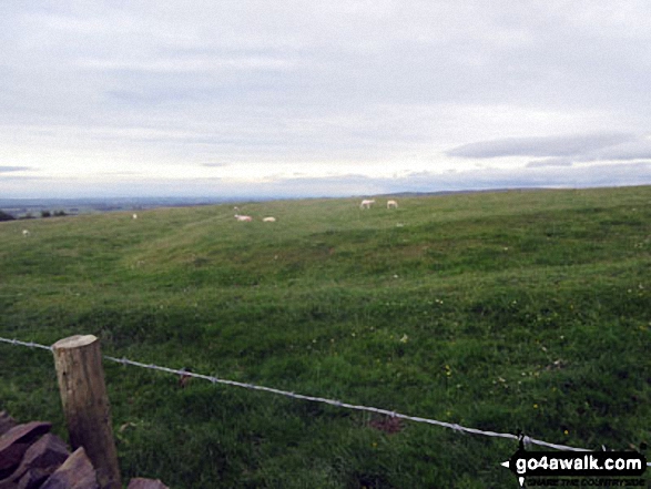 Walk c493 St Johns Hill and Caermote Hill from Bothel - Earthworks on St. John's Hill