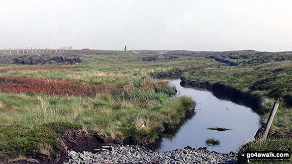 Walk du145 Chapelfell Top from St John's Chapel - Bogs on the way to Westernhope Moor Summit