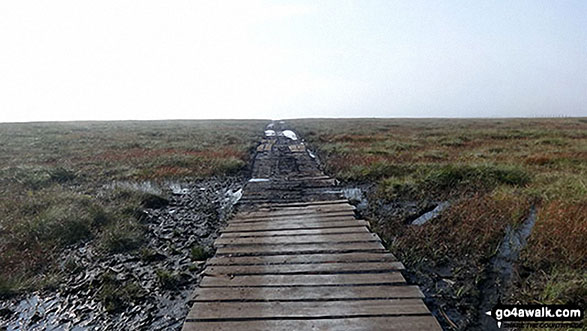 Walk du145 Chapelfell Top from St John's Chapel - A useful wooden path across the Swinhope Moor bog