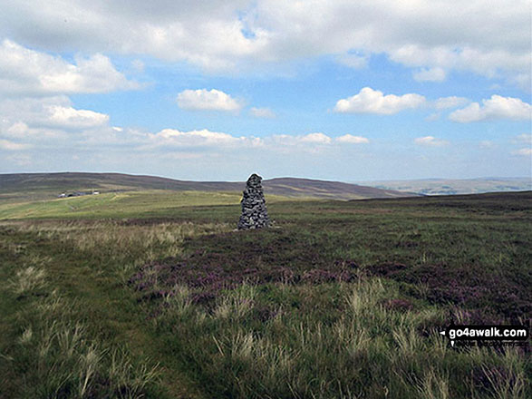 Walk c430 Cuns Fell, Melmerby Fell and Fiend's Fell from Melmerby - Currick on the descent from Fiend's Fell