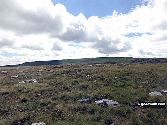 Walk c407 Little Fell (Burton Fell), Mickle Fell and Murton Fell from Hilton - Little Fell (Burton Fell) from the path to Mickle Fell