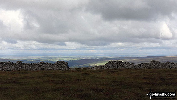 View across the derelict wall on Middlehope Moor 