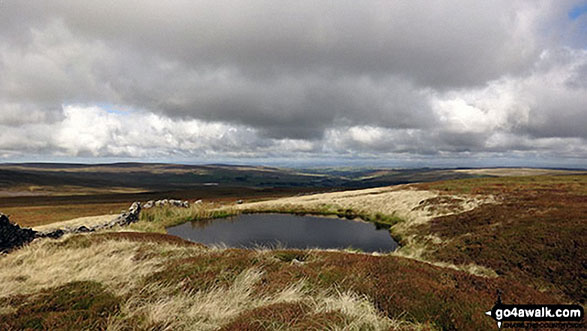 A pool on Middlehope Moor 