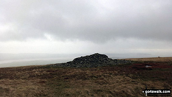 Walk c439 Black Combe and White Combe from Whicham Church, Silecroft - Apporaching White Combe summit cairn