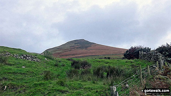 Walk c439 Black Combe and White Combe from Whicham Church, Silecroft - Looking back up to White Hall Knott