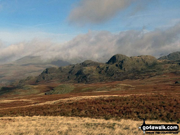 Walk c205 Green Crag (Ulpha Fell) and Great Worm Crag from Stanley Force NT Car Park, Eskdale - Green Crag (Ulpha Fell) from Great Worm Crag