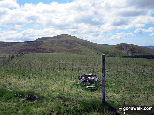 Walk c212 Burnbank Fell, Gavel Fell, Hen Comb and Mellbreak from Loweswater - The cairn and fence on the summit of Burnbank Fell