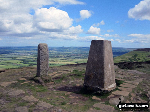 Whorlton Moor (Carlton Bank) Photo by Christine Shepherd