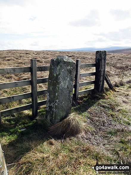 Walk n114 Grey Nag and Black Fell (Haresceugh Fell) from Gilderdale Bridge - Tom Smith's Stone