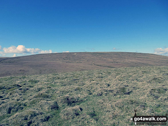 Round Hill (Tyne Head) from the descent off Bellbeaver Rigg (Tynehead Fell)